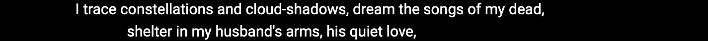 Self-Portrait with Origin Story stanza 8